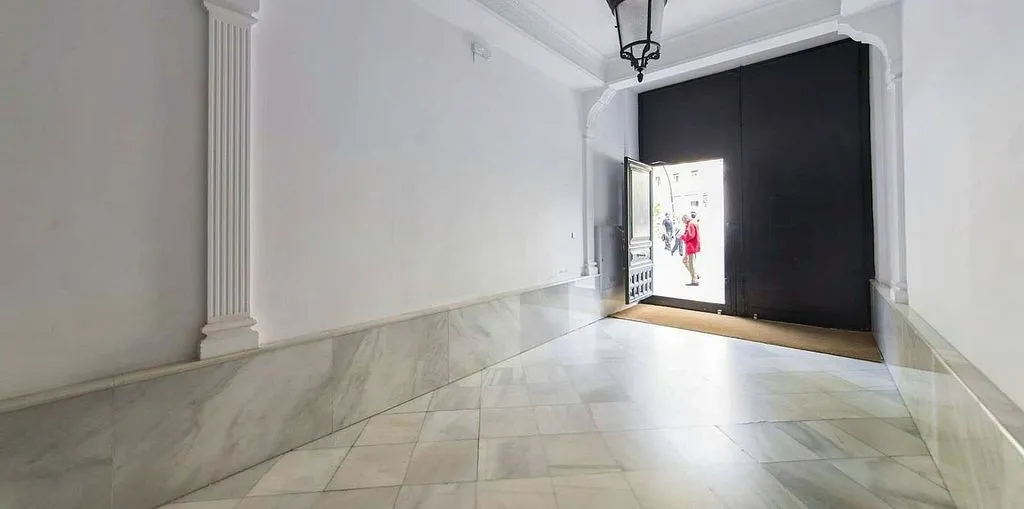 Entrée - Furnished Flat with Terrace in Tirso de Molina Square