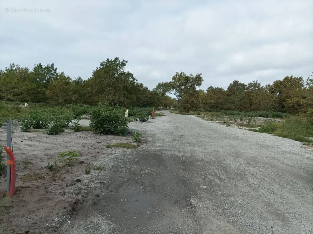 Aed - Buildable Land with Lake View in Labouheyre