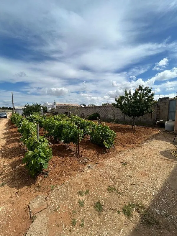 Jardin - Chiclanan Chalet Plot with Pool on La Playa Road
