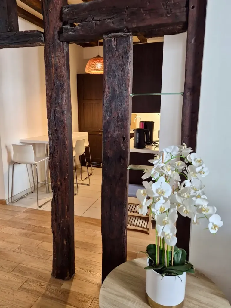 Elutuba - Meubled Flat with Historic Charm in Marais