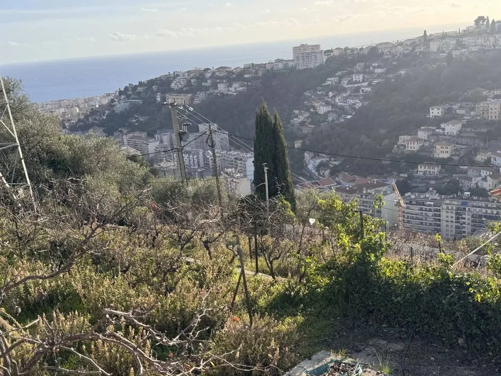 Aed - Villa with Pool on Magnan Corniche, Nice