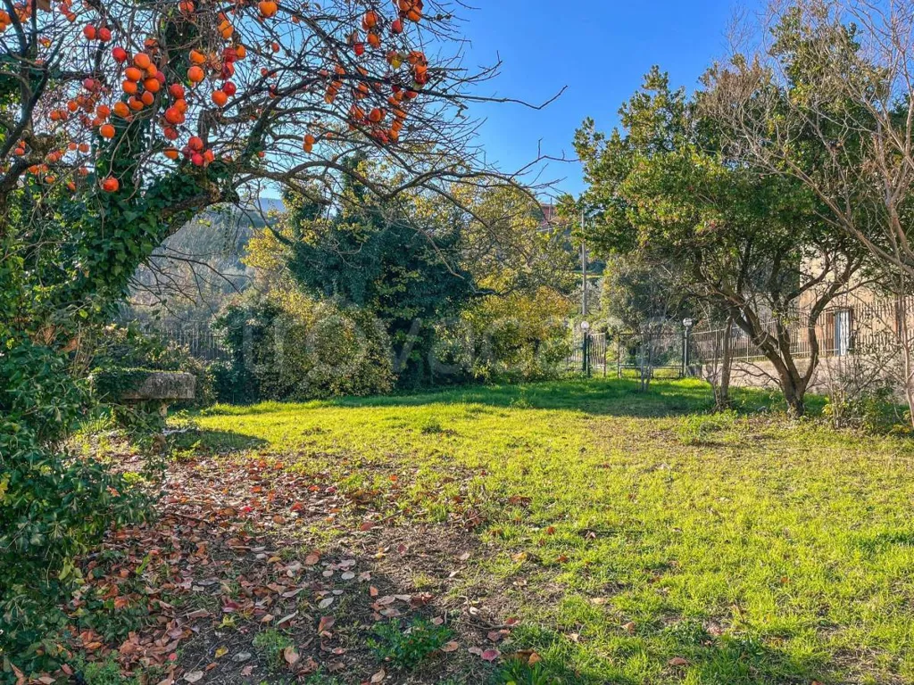 Jardin - Rustic Villa to Renovate with Panoramic Terrace in Configni