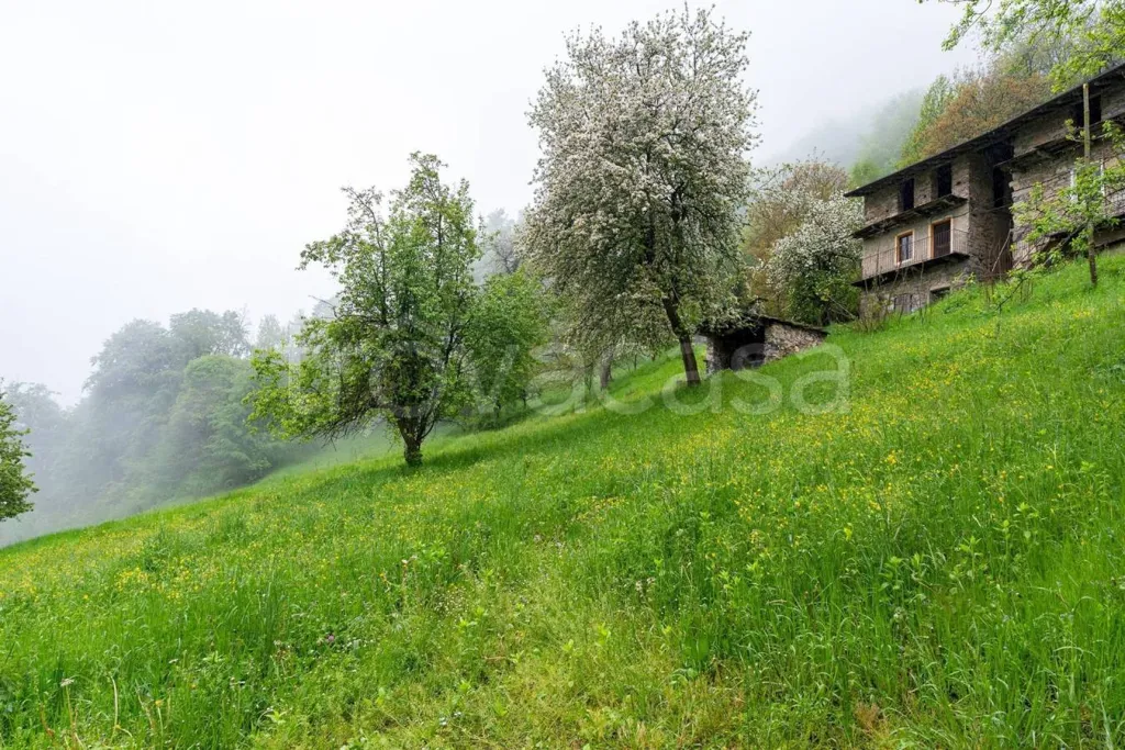 Jardin - Alpine Cottage with Panoramic Views in Pradleves
