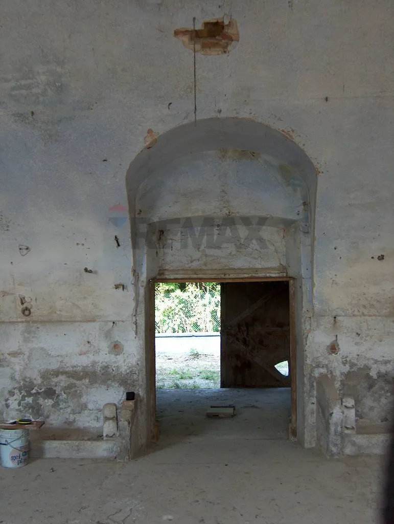 Toad - Historic Rustico with Garden in Ceresara