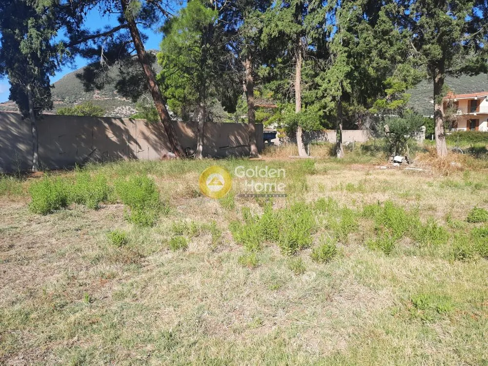 Aed - Beachfront Plot with Sea View in Tolophona