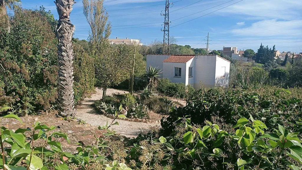 garden