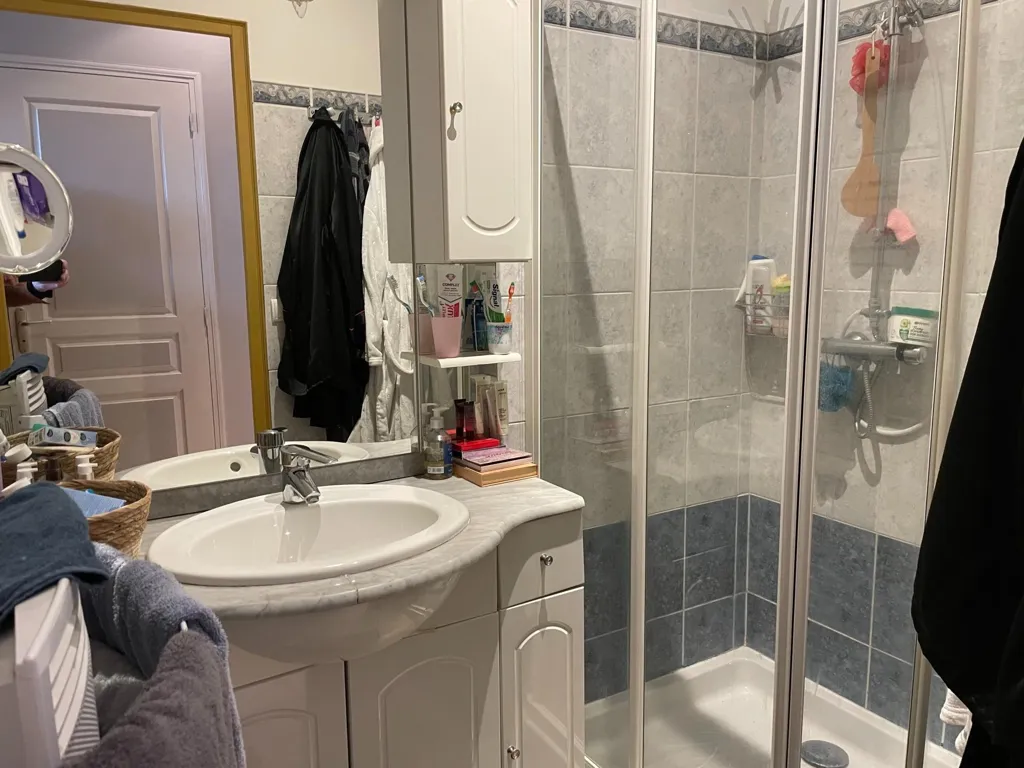 Salles de bain - Appartement Rez-de-Chaussée avec Terrasse et Jardin à Massy
