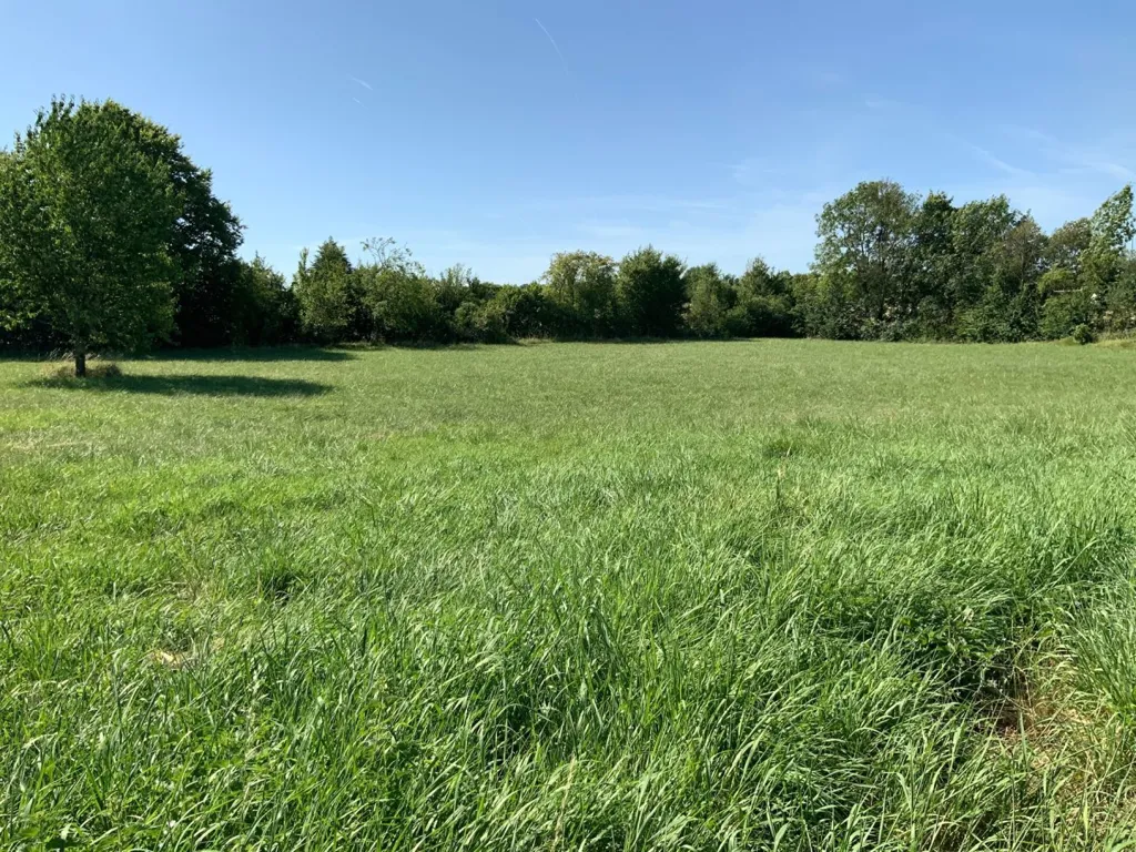 Jardin - Ensemble Immobilier à Rénover avec Dépendances à Saint Sauveur