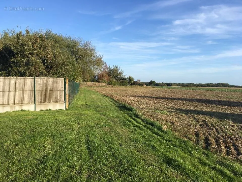Aed - Viabilised Plot with Garden near Étampes