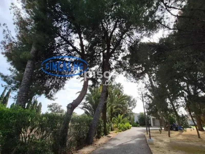 Extérieur - Estate with Pool and Garden in Mutxamel