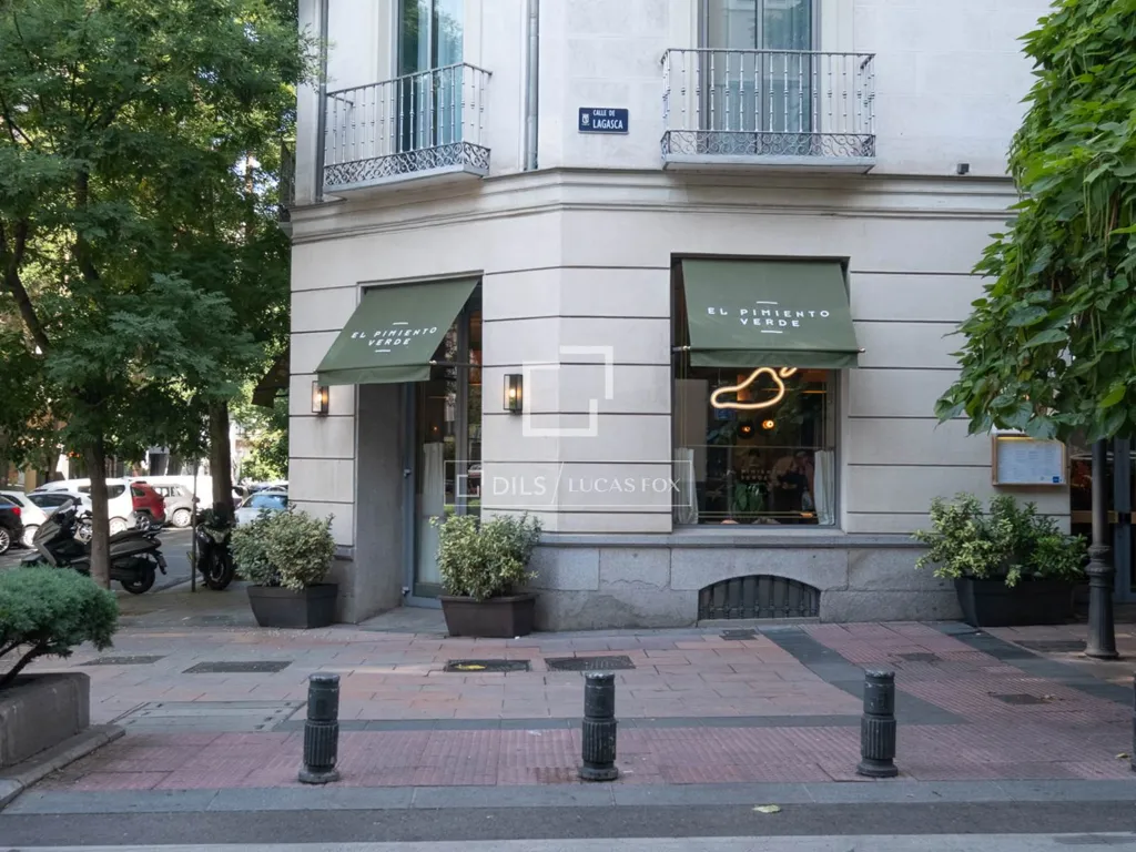 Refurbished Apartment with Balconies in Madrid