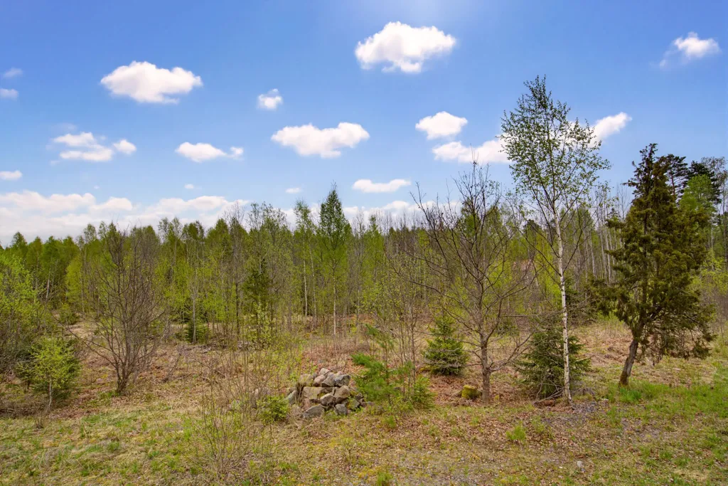 Jardin - Spacious Plot with Natural Setting in Vaxmyra
