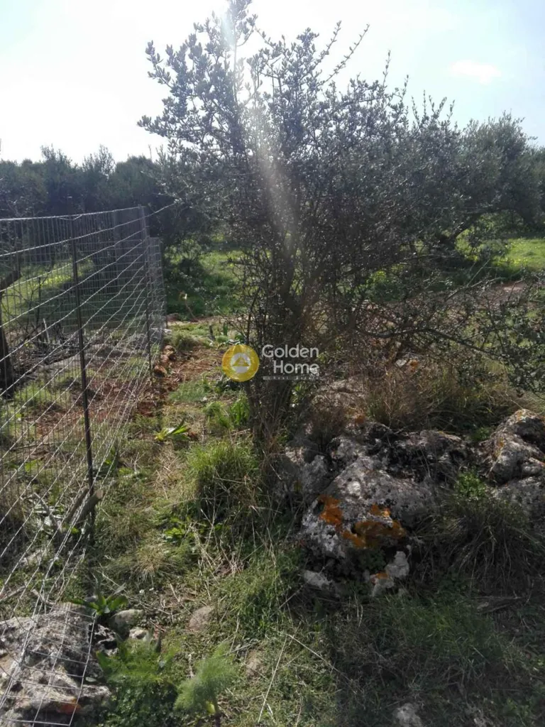 Garden - Land in GR