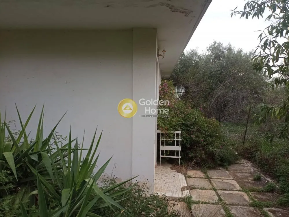 Garden - Neoclassical Building with Sea View in Selinias