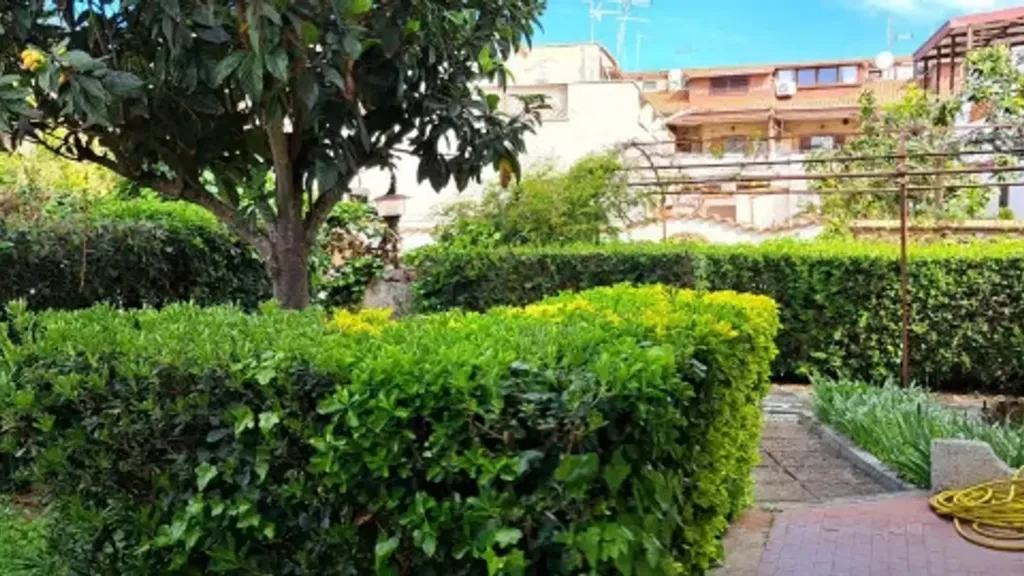 garden