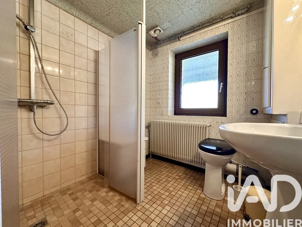 Vannitoad - Character House with Garden in Troisfontaines