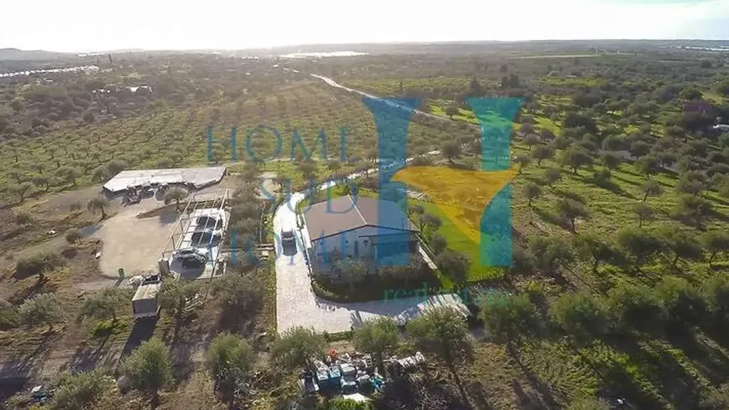 Aerial - Villa with Olive Grove in Noto