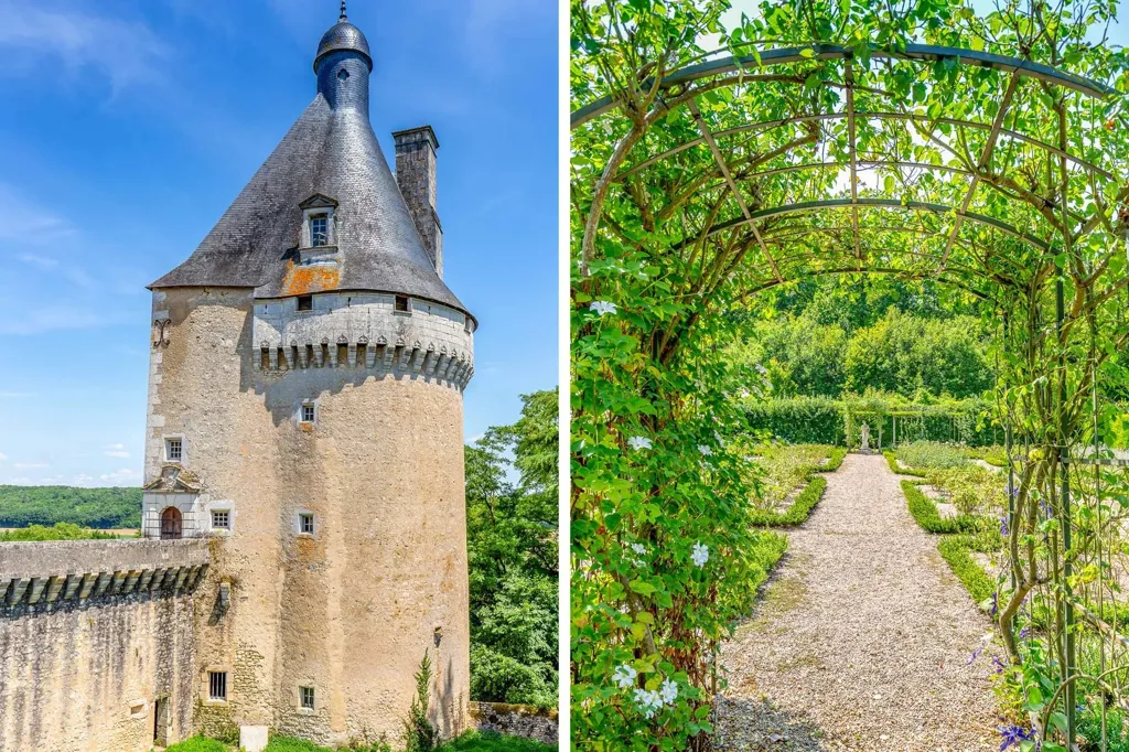 Aed - Medieval Château with River View near Poitiers