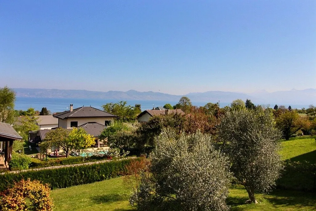 Jardin - Maison Contemporaine avec Vue Lac Léman à Maxilly-sur-Léman