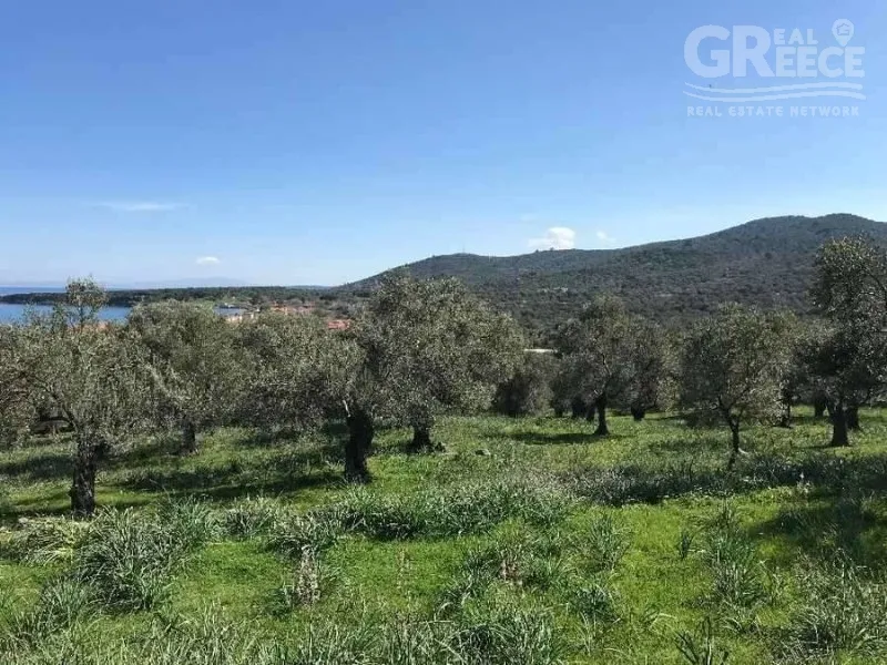 Aed - Investment Plot in Skala Misegnou, Lesvos