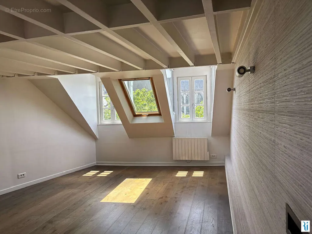 Toad - Atypical Flat with South-Facing View in Rouen
