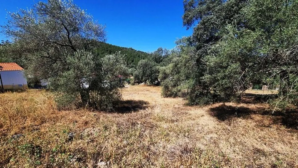 Jardin - Urban Plot with Countryside Views in Santa Ana la Real