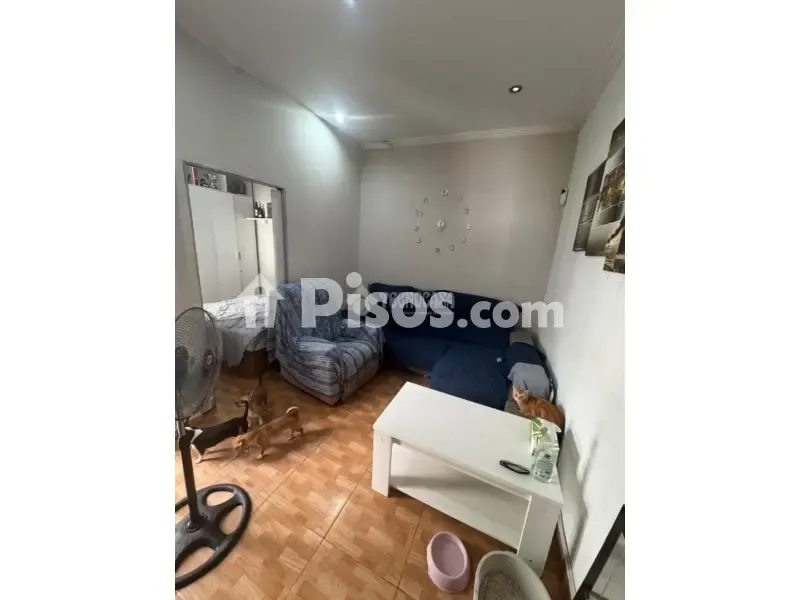 Séjour - Renovated Flat with Patio in El Cerro