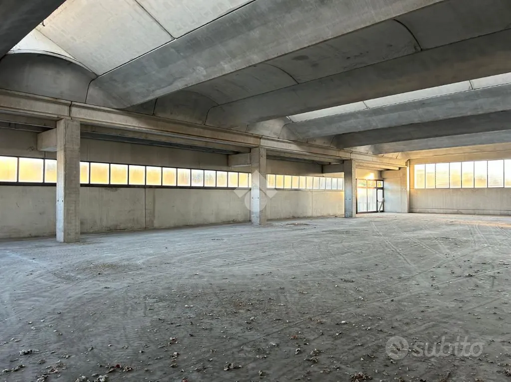 Toad - Warehouse with Ramp in Cellatica Industrial Zone