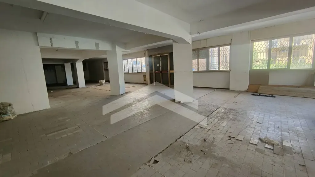 Toad - Flexible Apartments in Central Campobasso