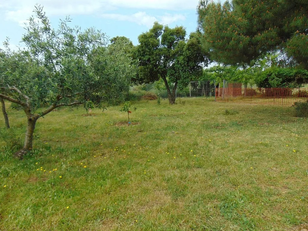 Jardin - Chalet with Finca in Alcaudete de La Jara