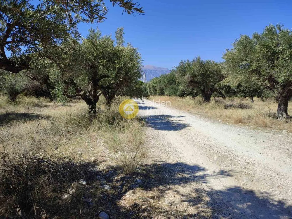 Giardino - Agricultural Plot with Sea Access in Patras