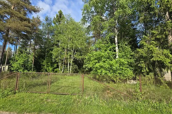 Aed - Country Plot with Forest Access in Koppelmaa
