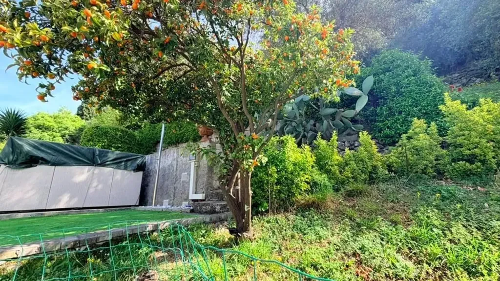Jardin - Apartment with Garden in Central Massa