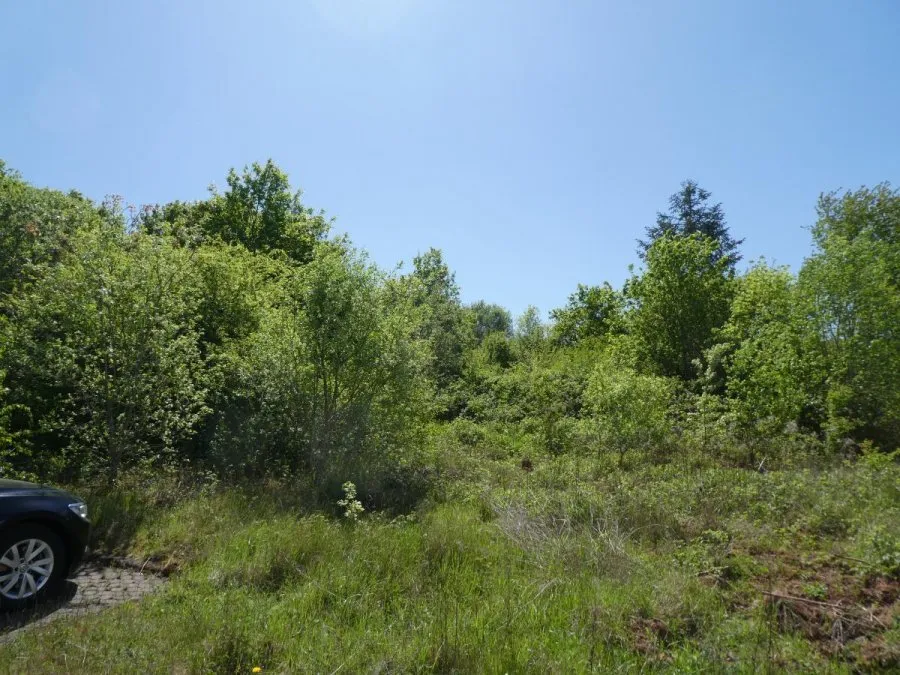 Terrain à Trier