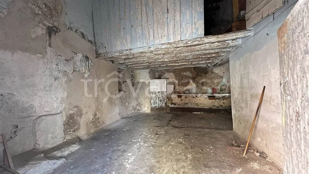cellar