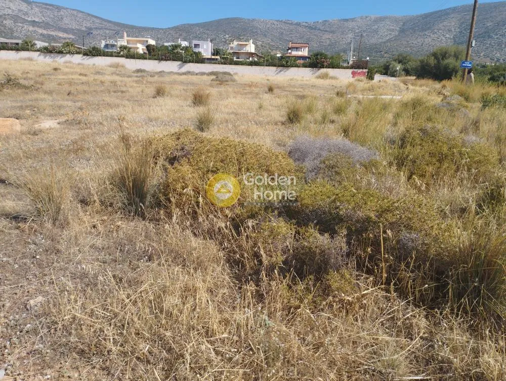 Giardino - Agricultural Land with Sea View in Lagoni