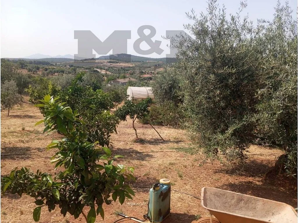 Aed - Rural Cortijo with Pool near Alange