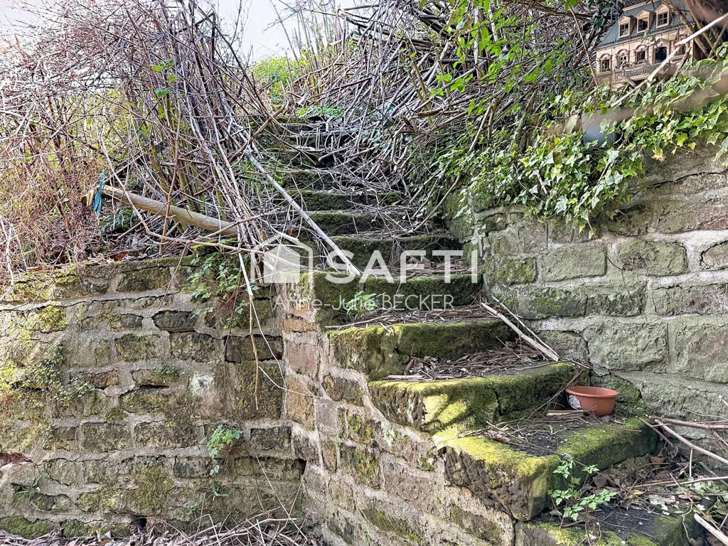Toad - Characterful House with Garden in Rural Setting
