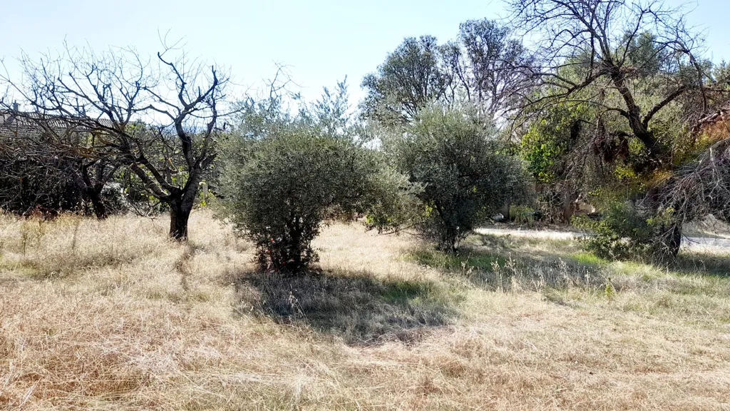 Terrain à Cabrières-d'Avignon