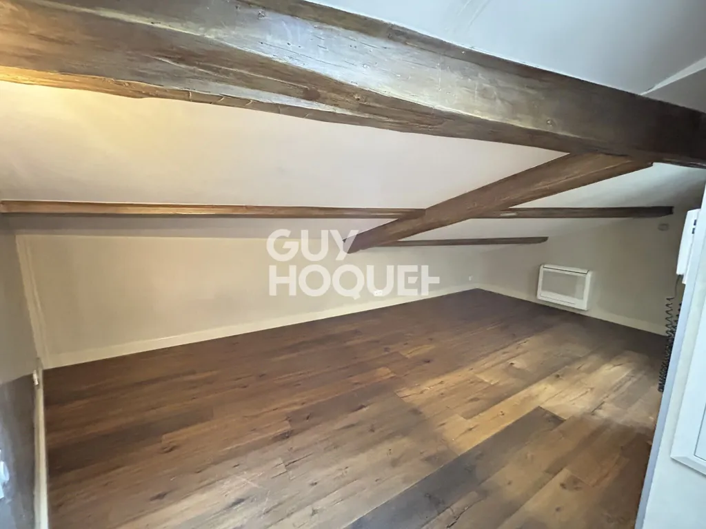 Toad - Triplex Apartment in City Centre of Valence