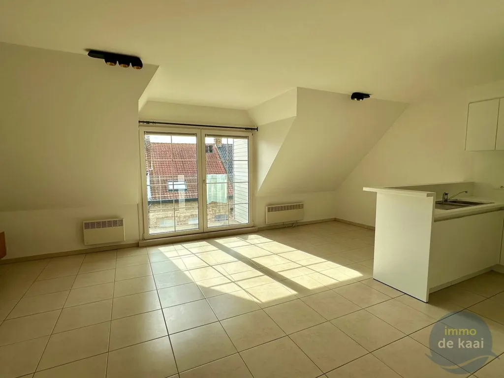 Toad - Duplex with Terrace in Nieuwpoort Centre