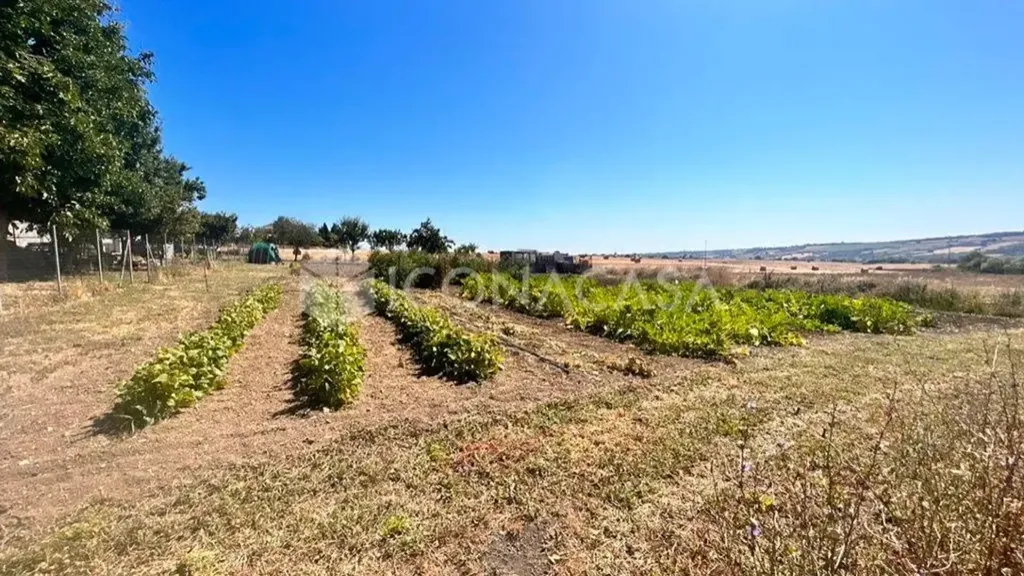 Jardin - Bilocale with Garden in Termoli
