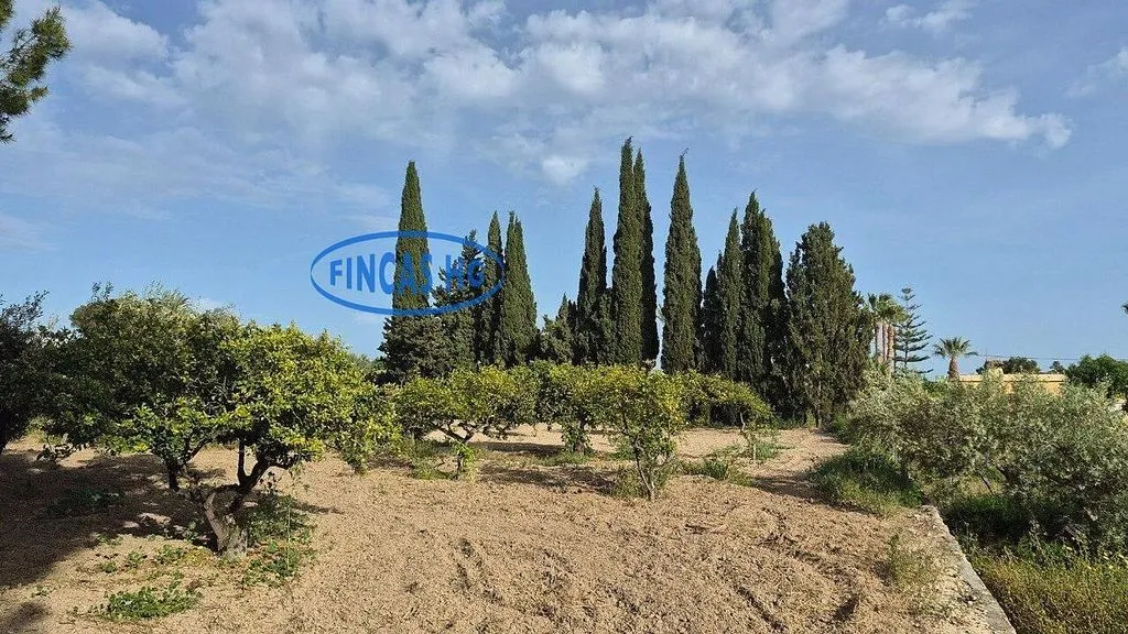Jardin - Estate with Pool and Garden in Mutxamel