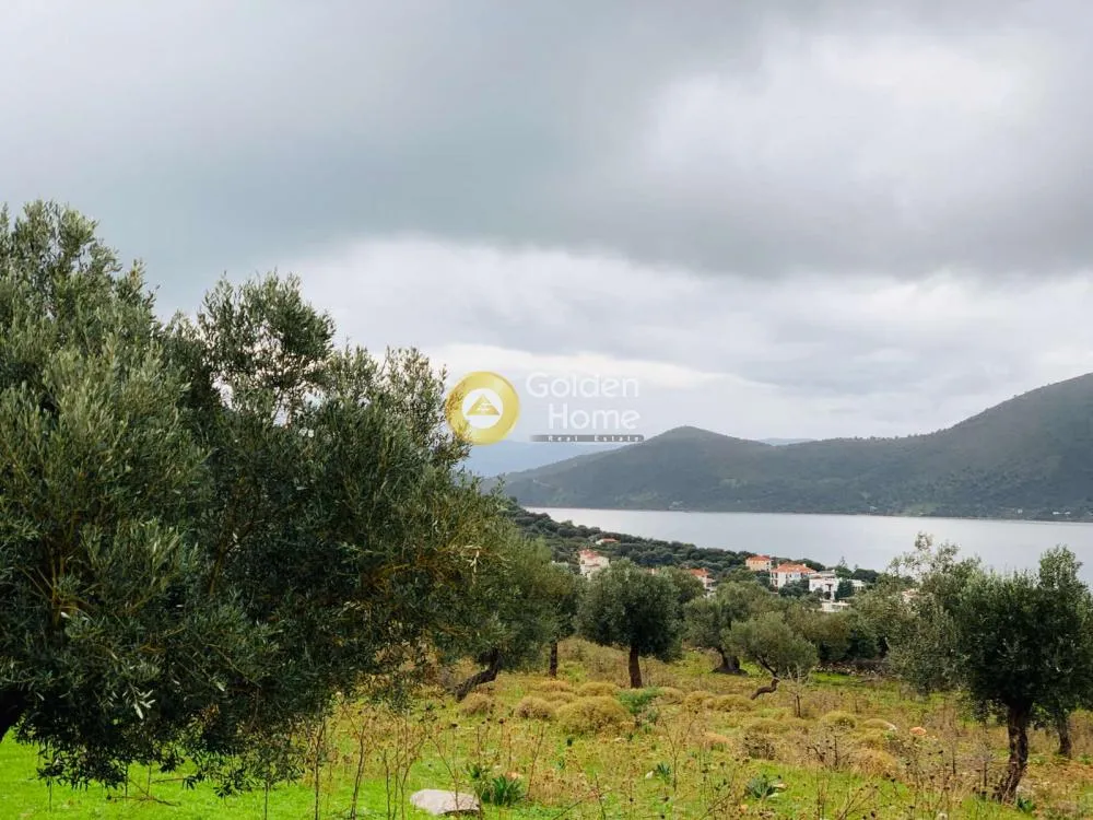 Aed - Panoramic Plot with Olive Trees in Almyropotamos