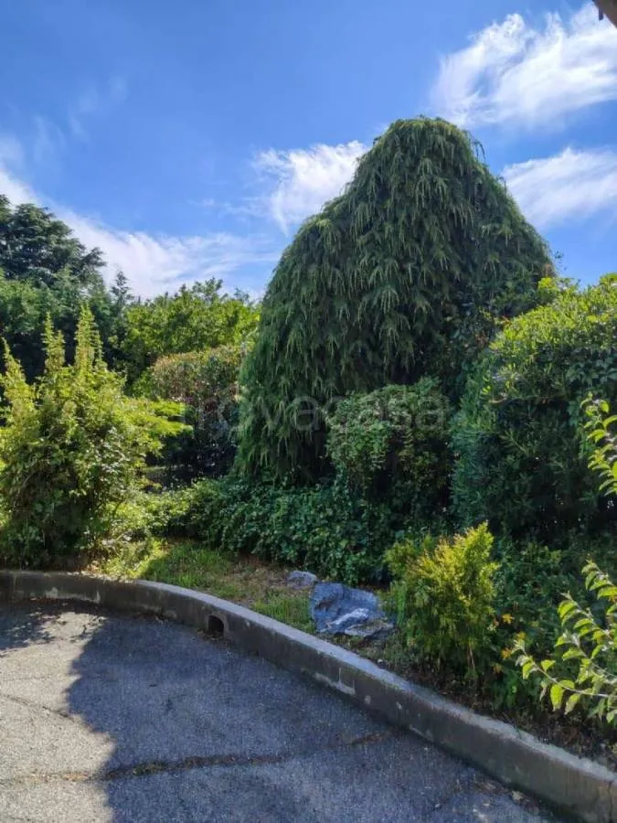 Aed - Apartment with Garden in Pino Torinese