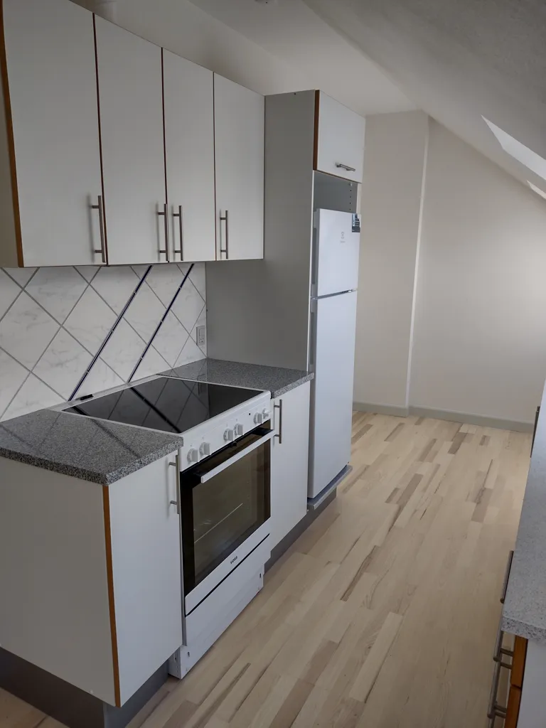 Cuisine - Renovated Apartment with Spacious Kitchen in Odense C