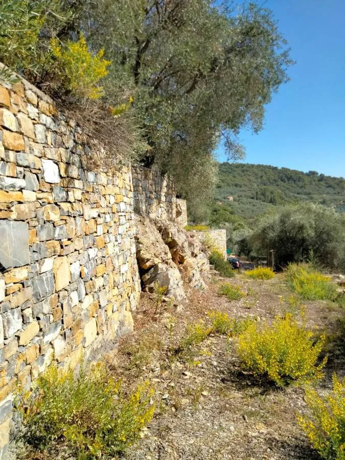 Aed - Rustic Villa with Olive Grove in Diano San Pietro