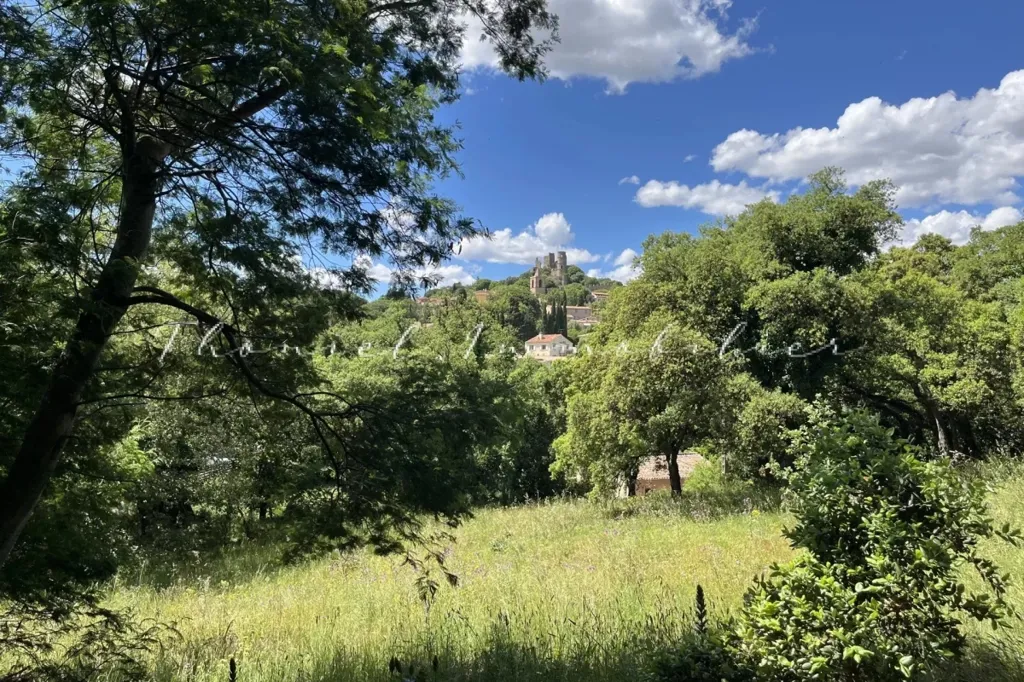 Jardin - Terrain à Bâtir avec Vue sur Château à Grimaud