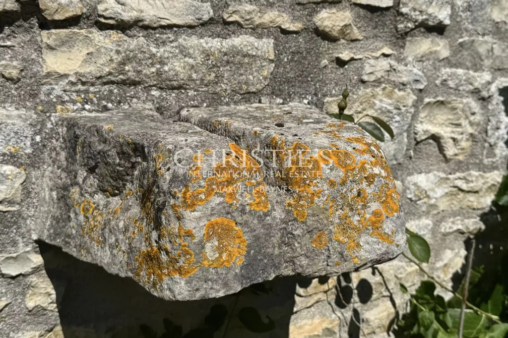 Esterno - Historic Manor with Courtyard in Tusson, Charente