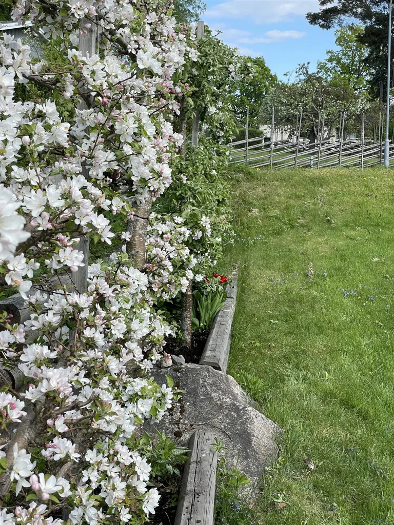 Giardino - Historic Villa with Garden in Adolfsberg